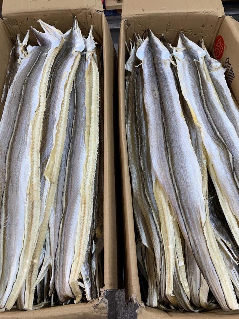 新晒鳗鱼干500克海咸鳗鱼新鲜风干鱼干海鳗海鲜水产干货