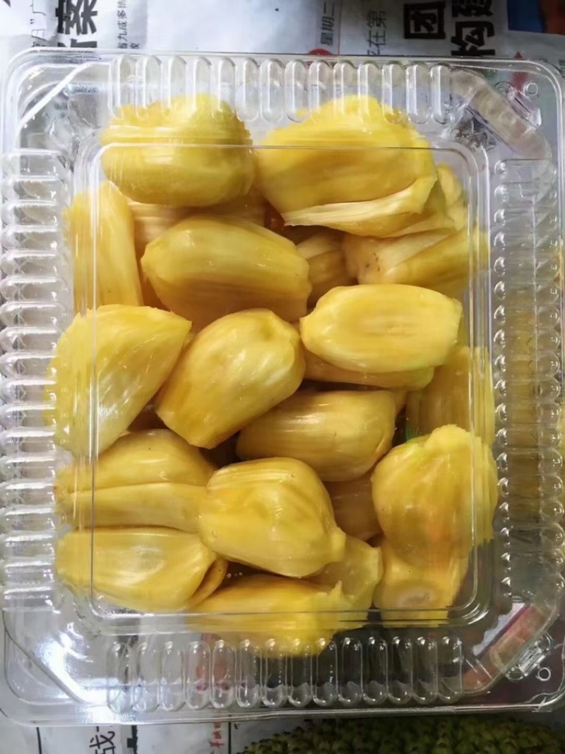 广东菠萝蜜马来一号菠萝蜜大量上市专业验果团队珍珠菠萝蜜