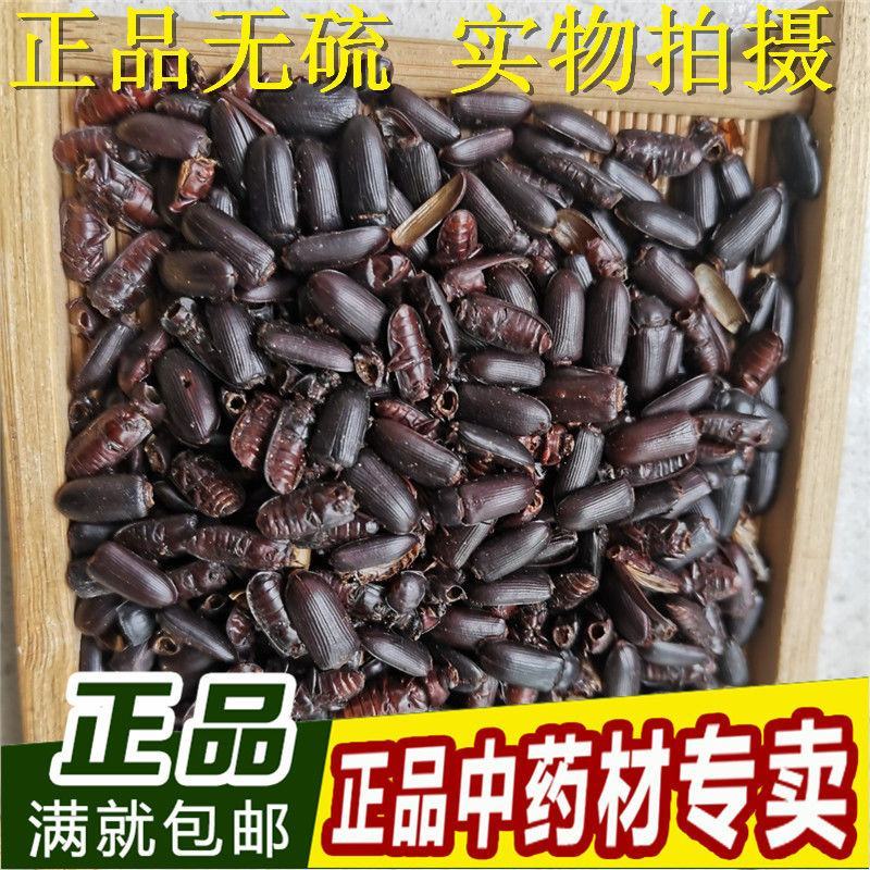 中药材九龙虫洋虫磕头虫500克包邮中药材