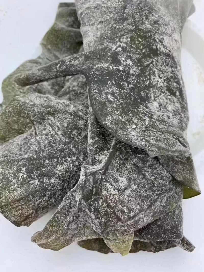 海带头全干半干盐啧海带头海带皮大量到货一手货源