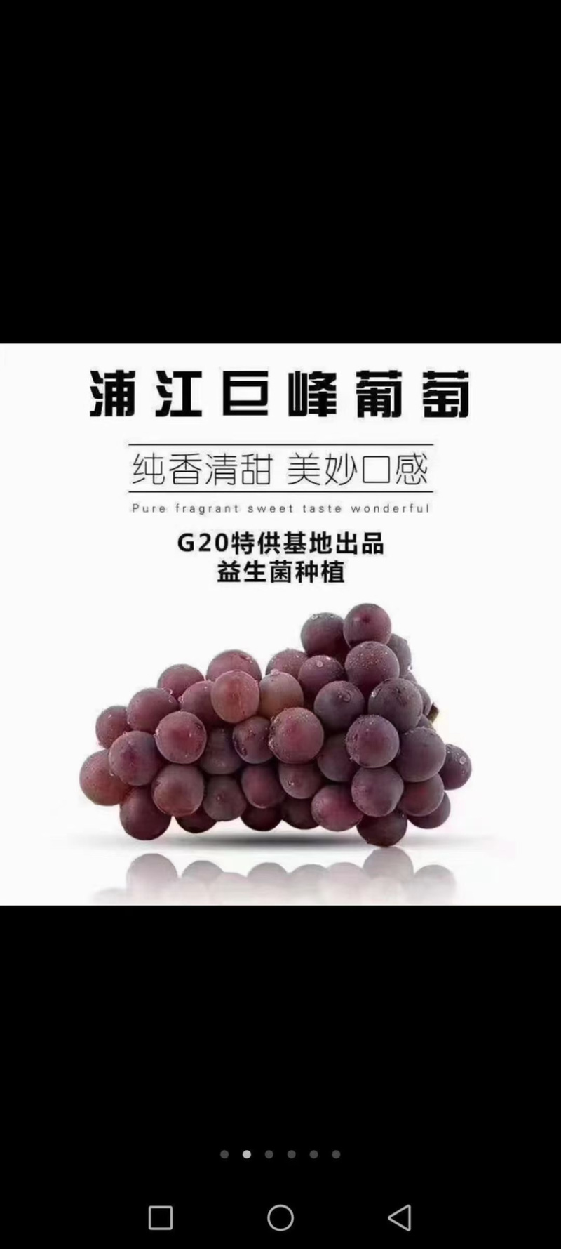 浦江巨峰