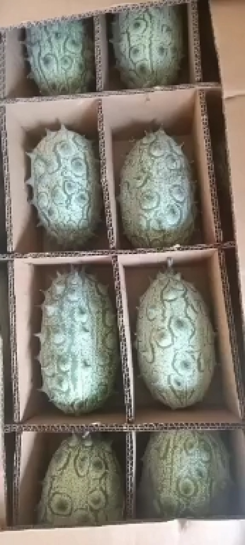 火参果