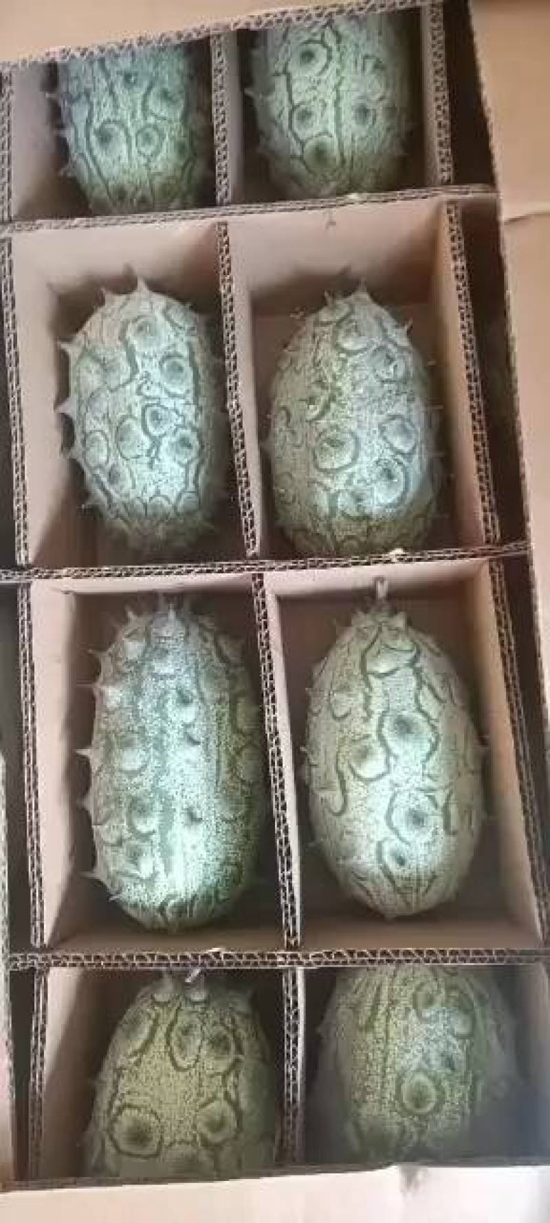 火参果