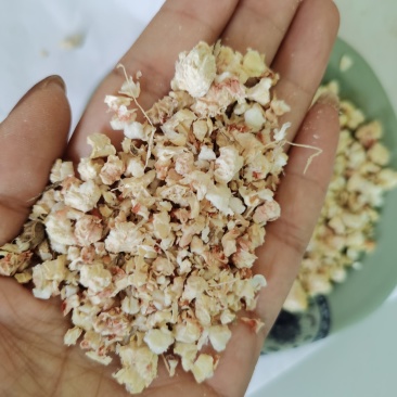 玉米芯颗粒食用菌原料，饲料原料量大可以优惠