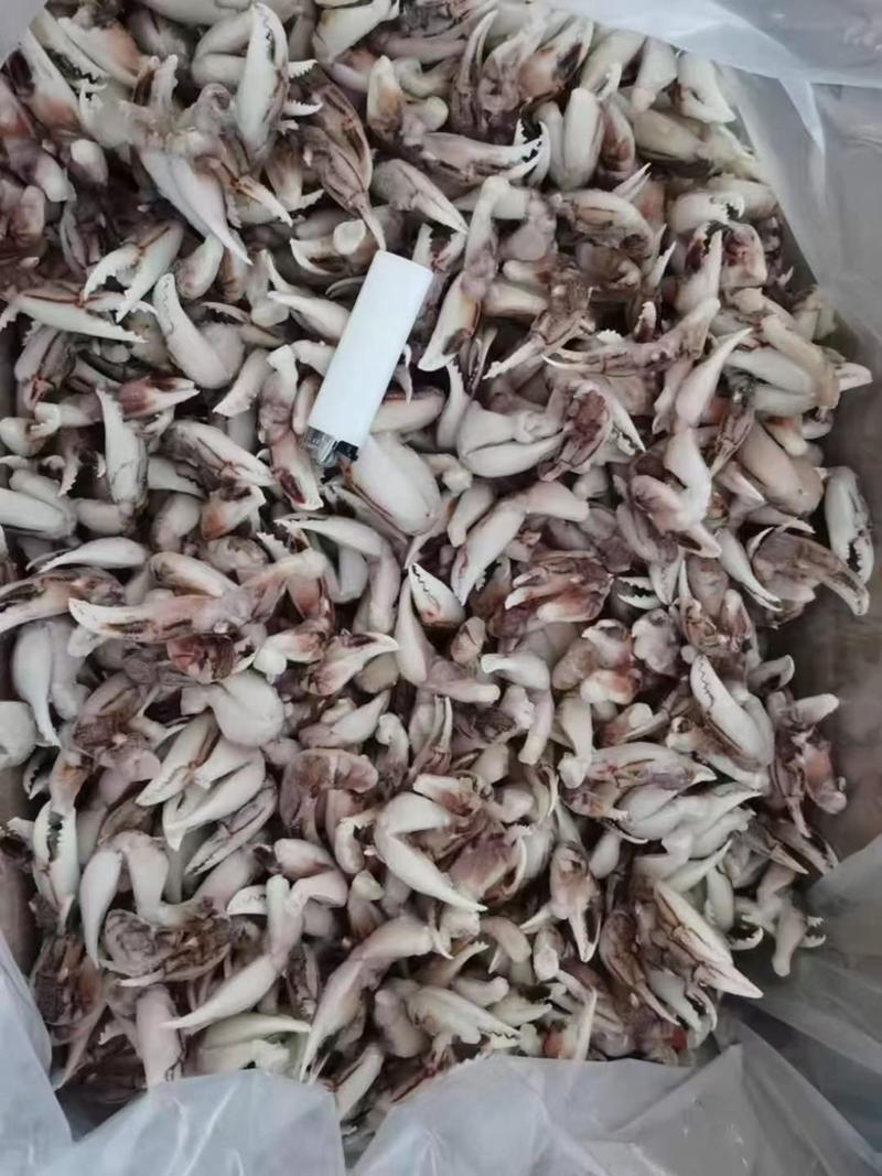 沙蟹蟹腿蟹钳捞汁海鲜大中小规格质量保障视频看货