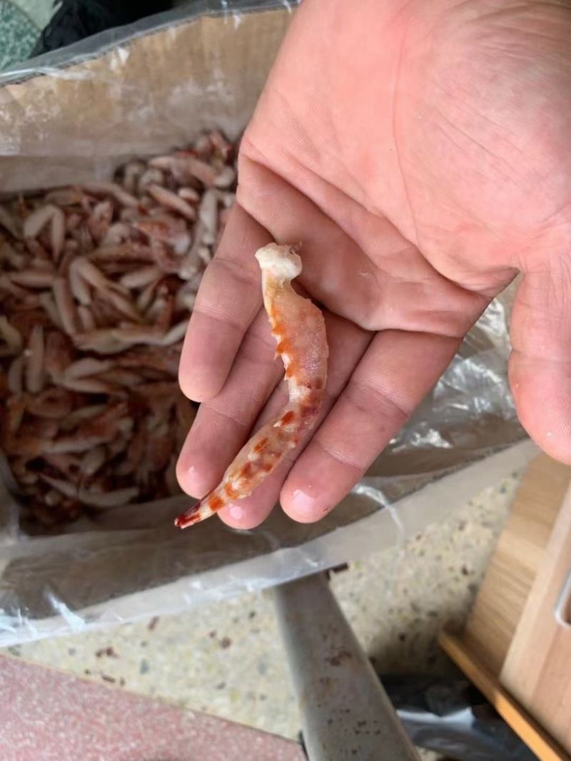 雪蟹腿花蟹蟹钳捞汁海鲜质量保障一手货源等您来电合作