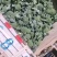 西兰花