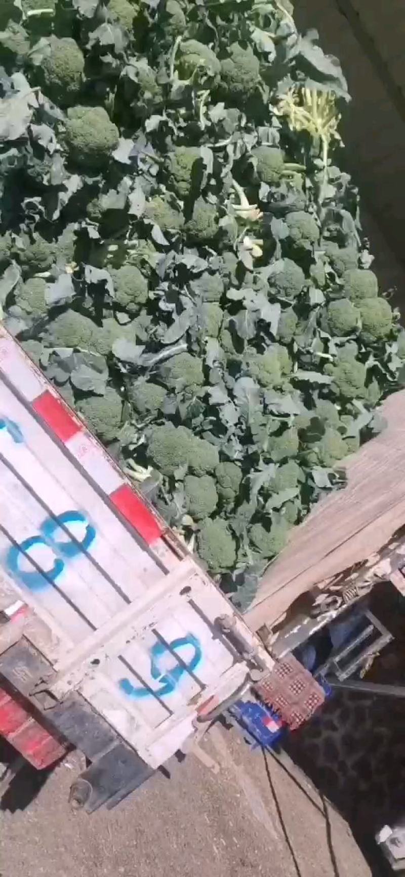 西兰花
