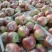 山东美八苹果产地直发口感脆甜货源充足质量保证