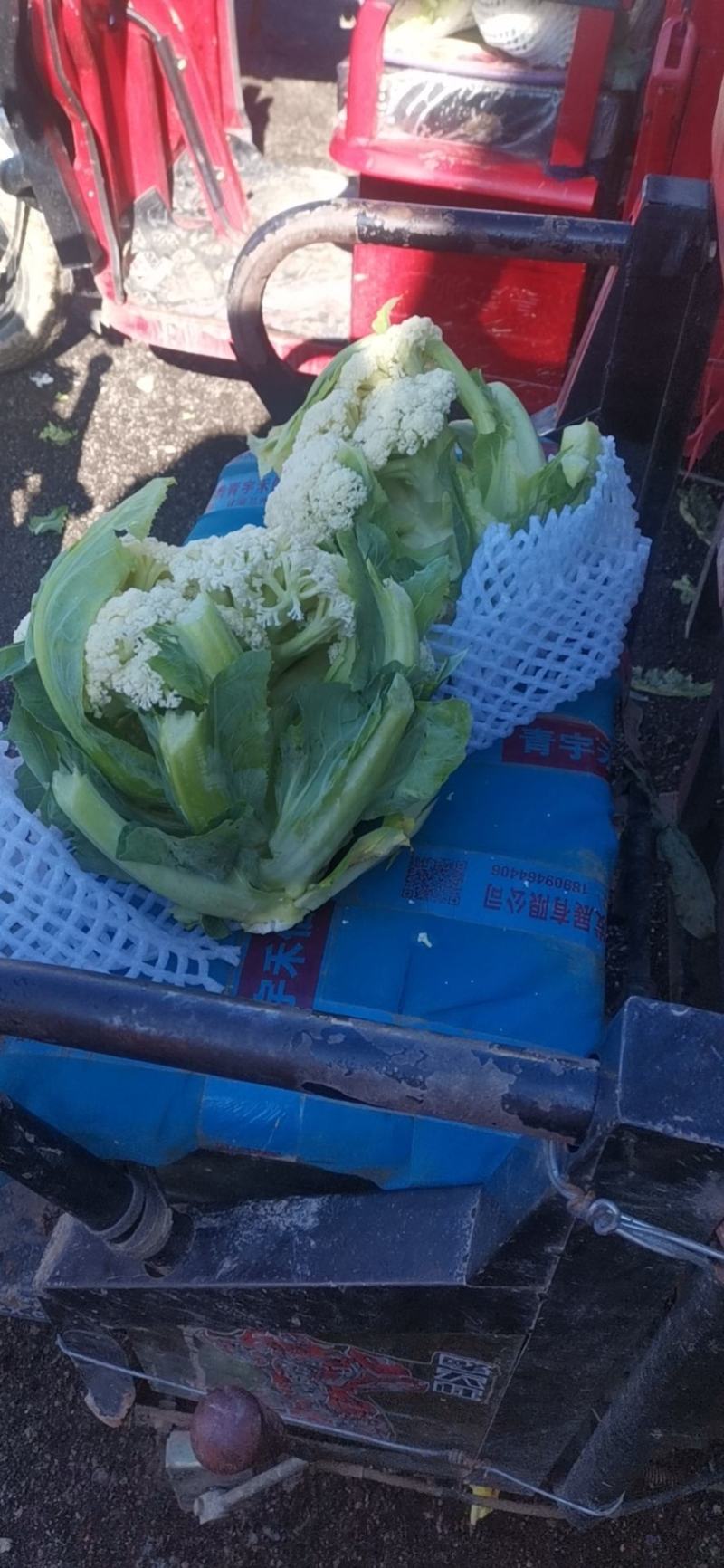 散花