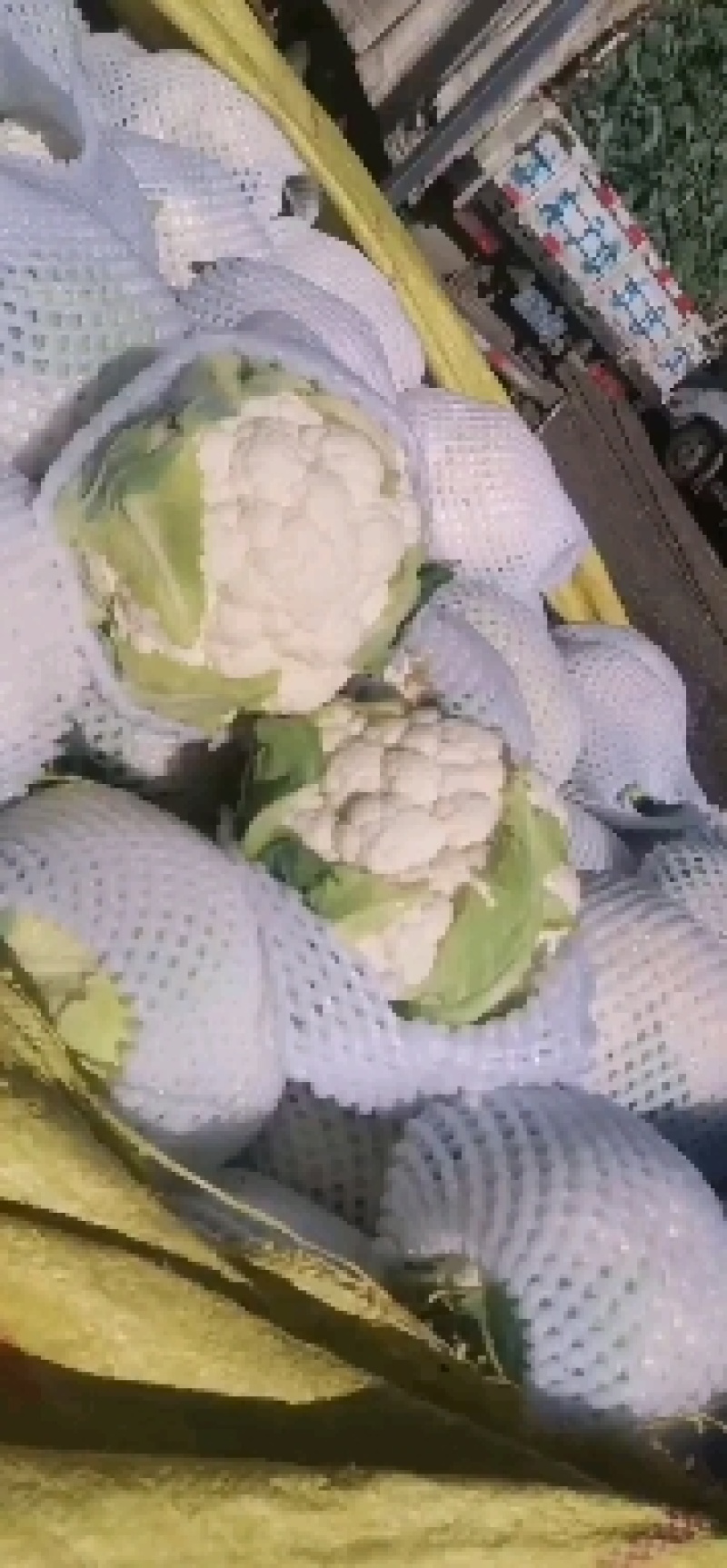 菜花