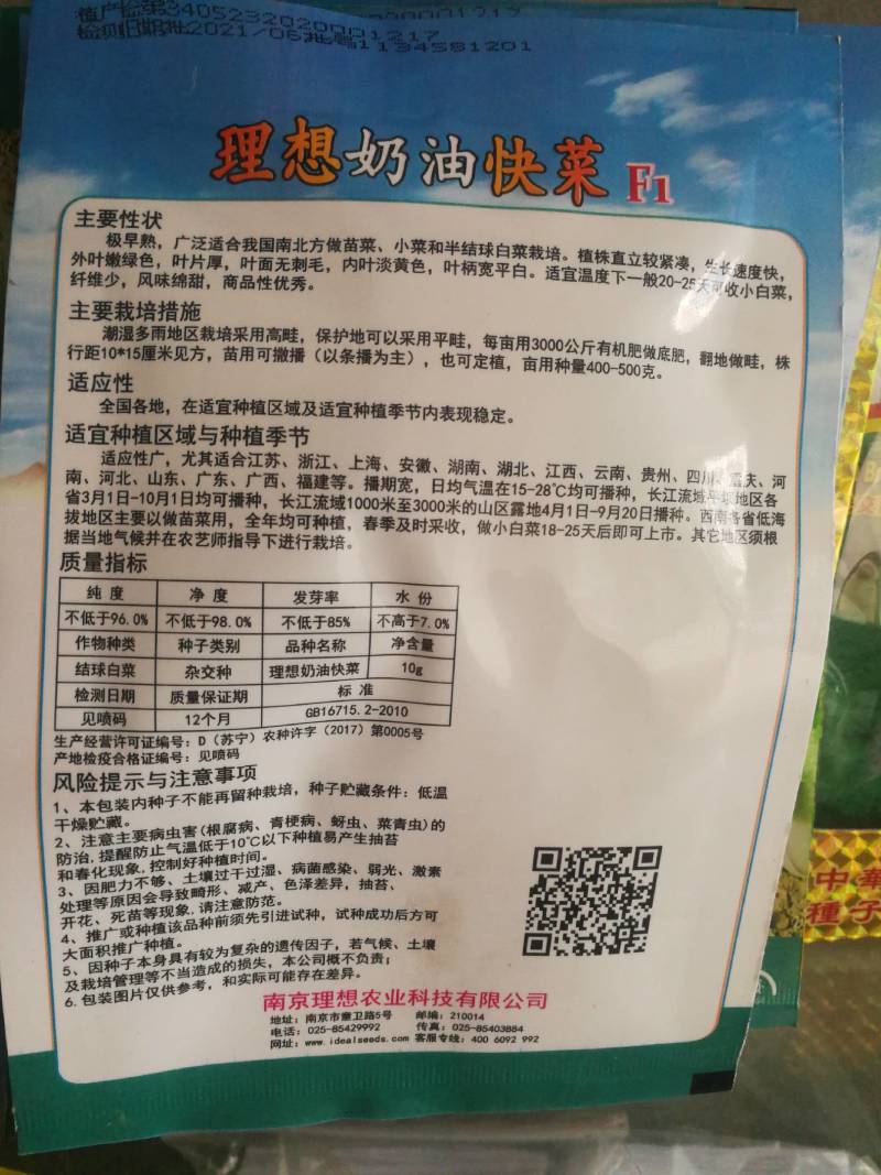 理想奶油快菜，小菜和半结球白菜。
