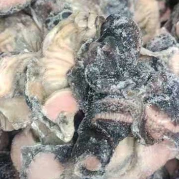 乌鸡胗