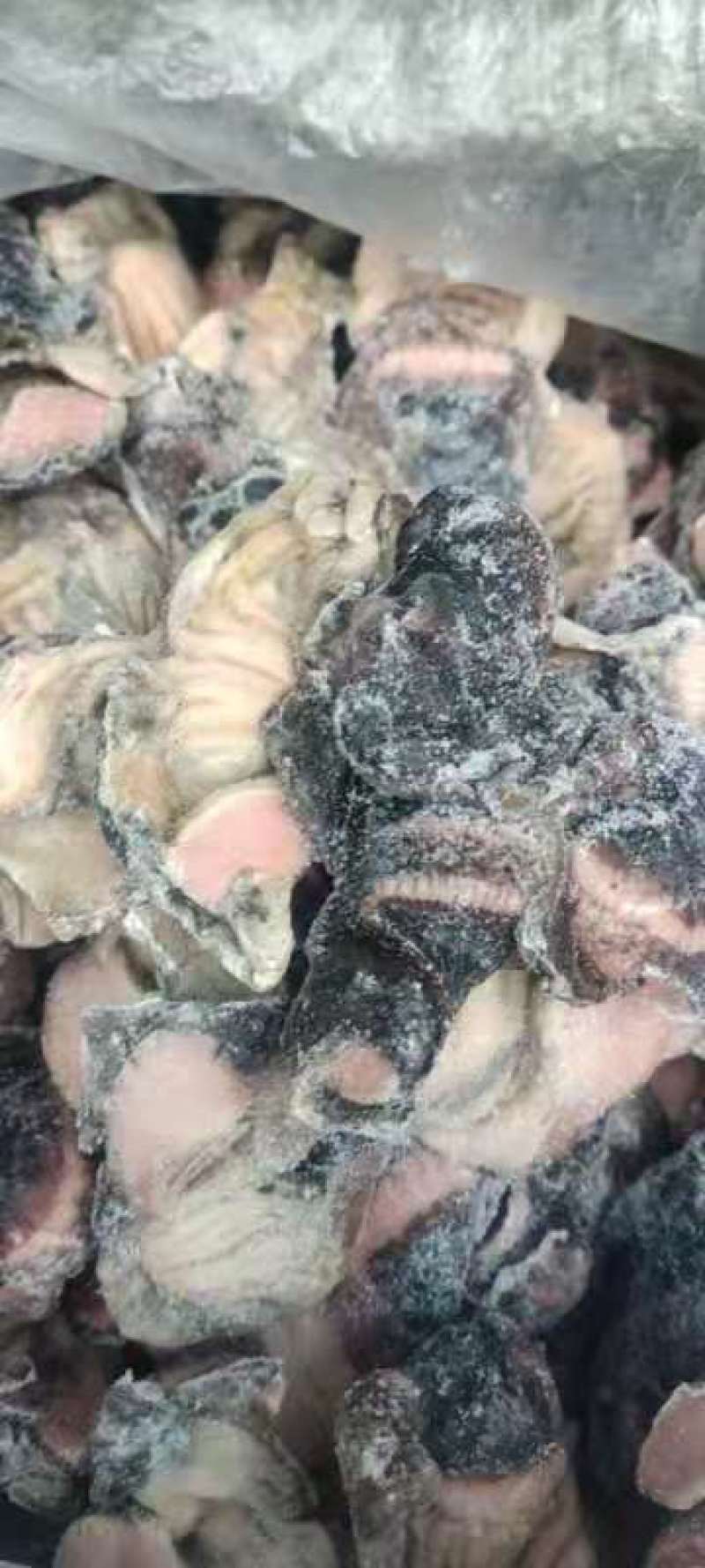 乌鸡胗
