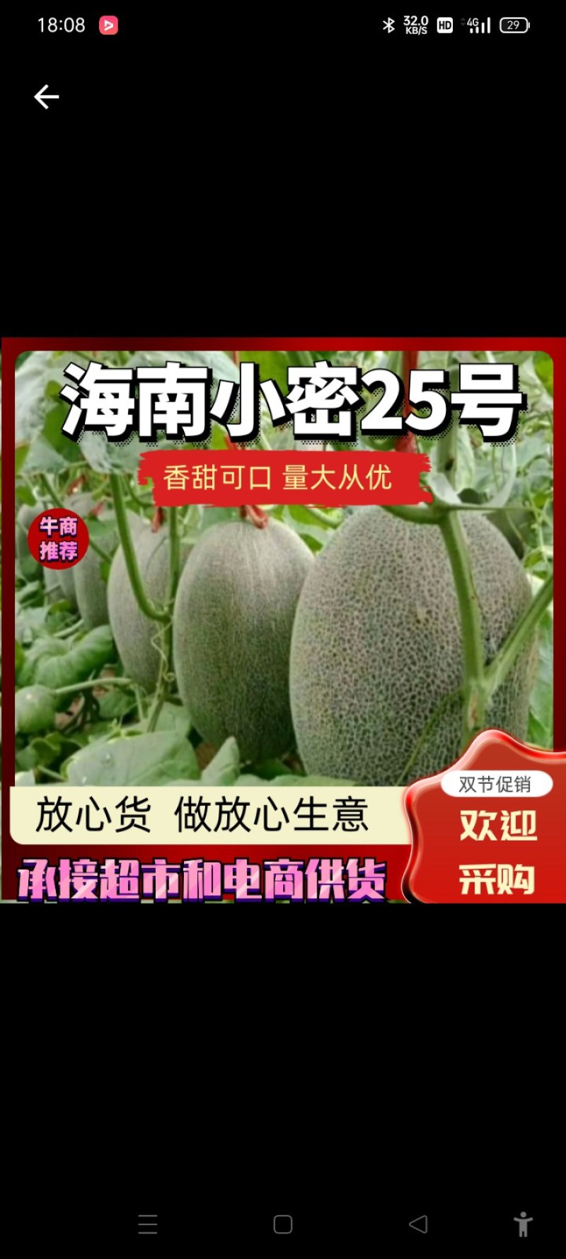 海南晓密