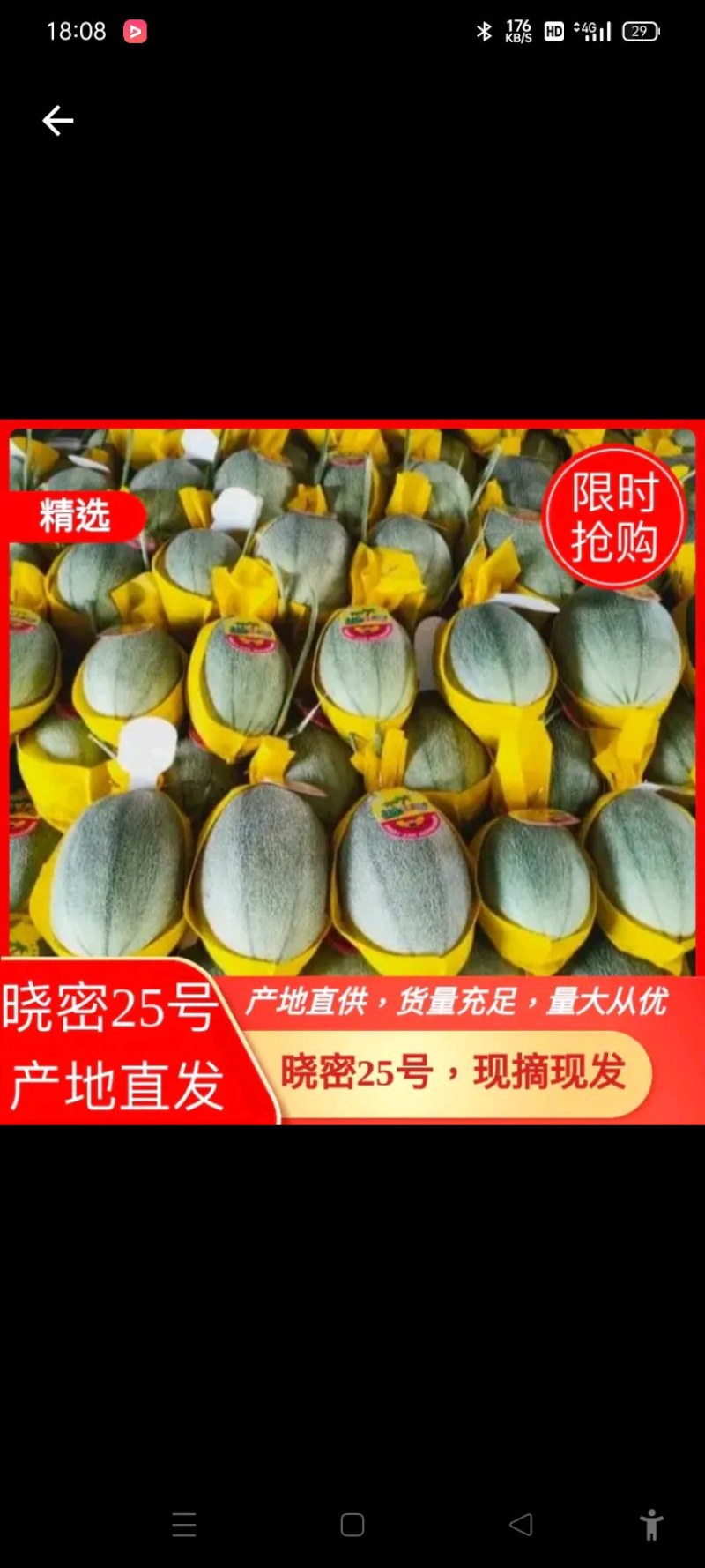 海南晓密