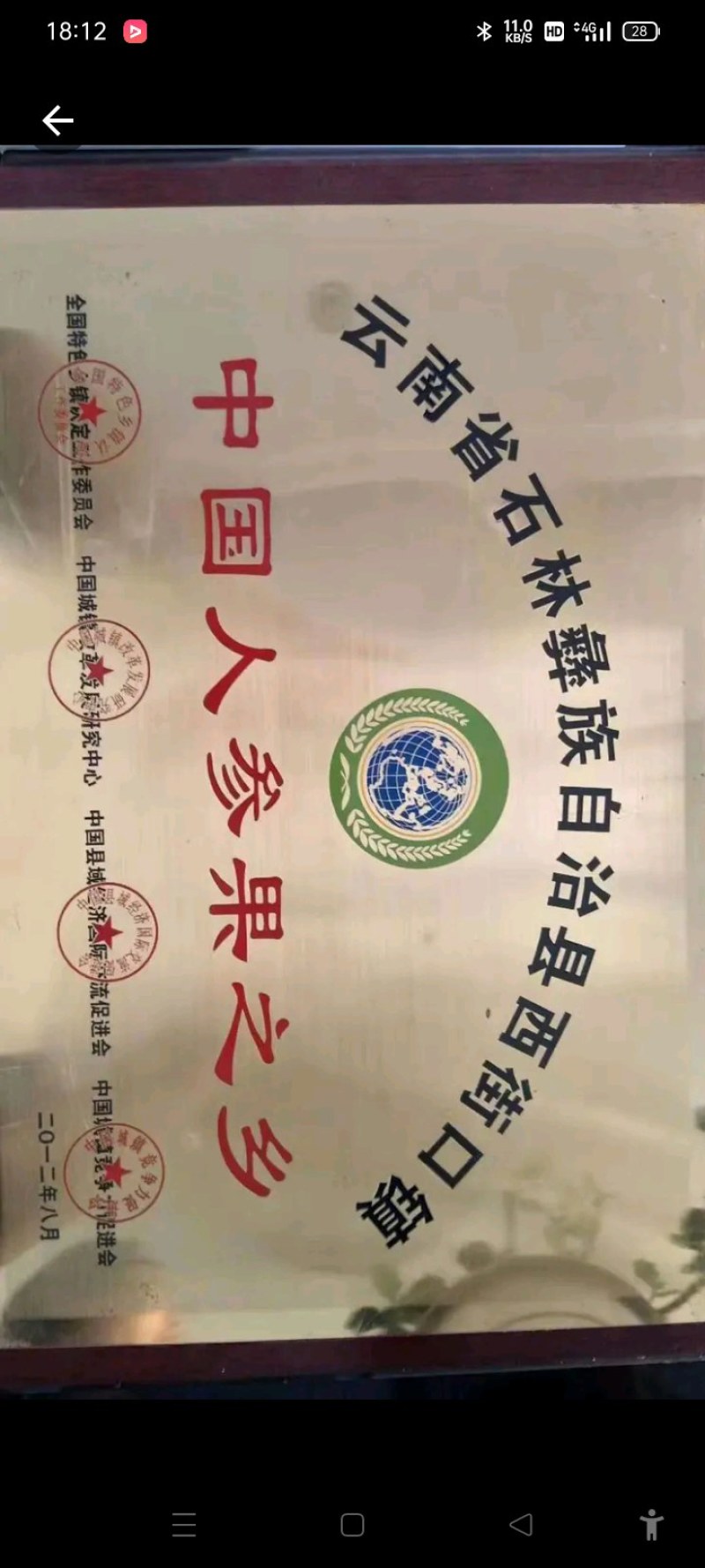 云南石林人参果