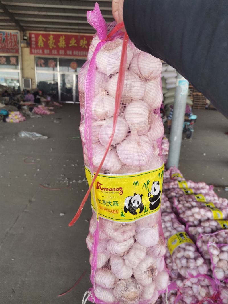 金乡大蒜产地直发向全国供应红皮大蒜白皮大蒜紫皮大蒜