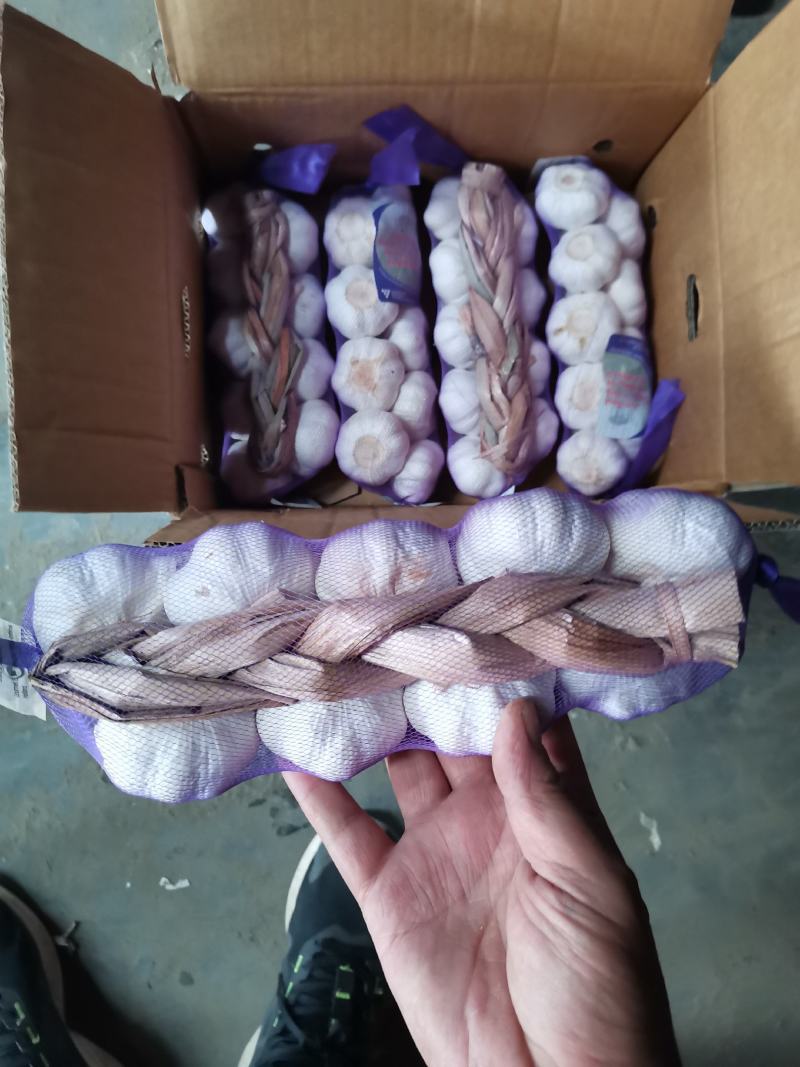 金乡大蒜产地直发向全国供应红皮大蒜白皮大蒜紫皮大蒜