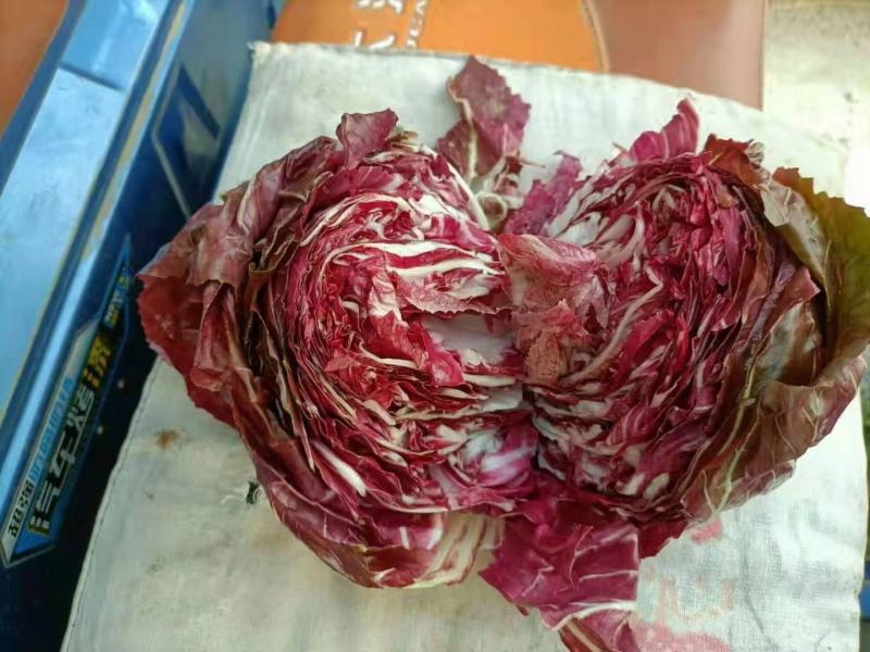 精品蔬菜看这里
