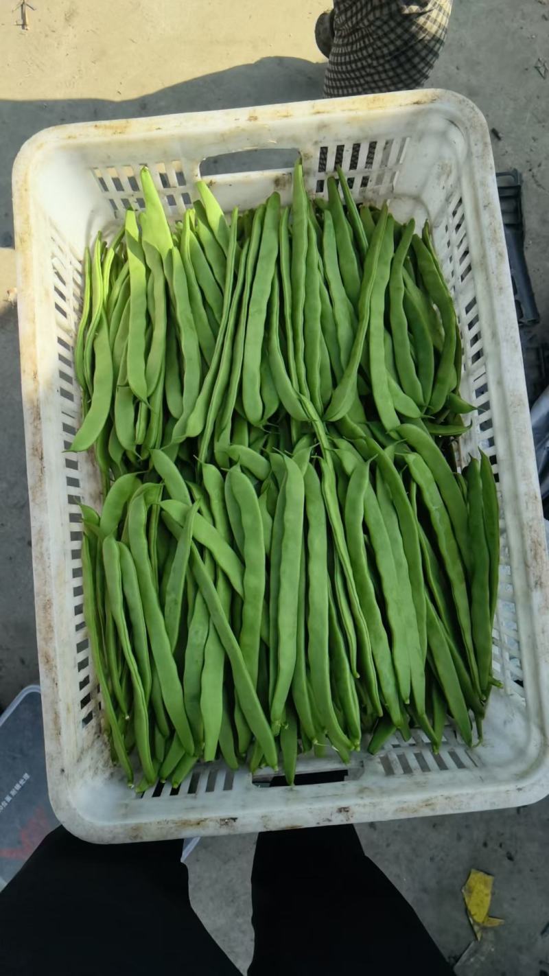 精品蔬菜看这里