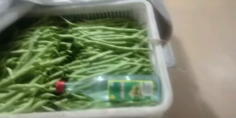 精品蔬菜看这里