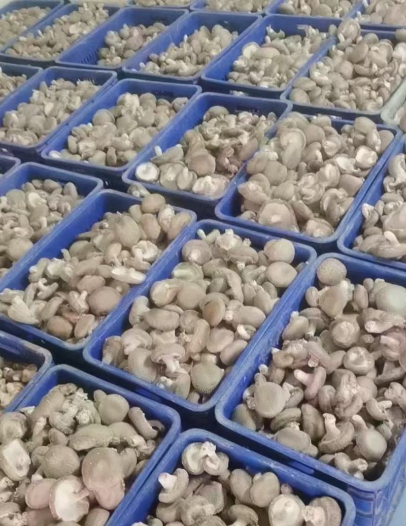 精品蔬菜看这里