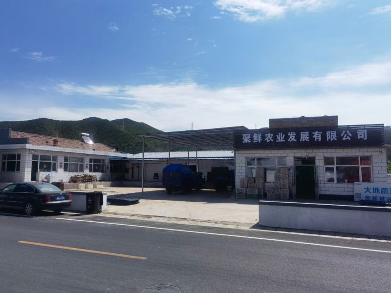 精品蔬菜看这里