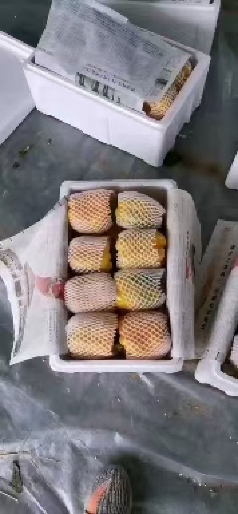 精品蔬菜看这里