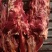 纯干鲜牛肉精修去油一手货源冷链配送。