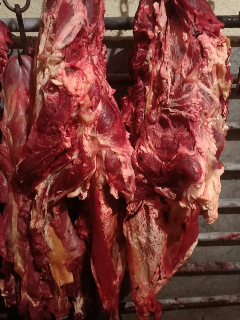纯干鲜牛肉精修去油一手货源冷链配送。