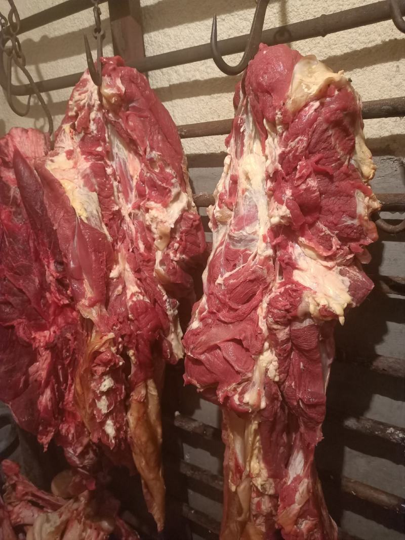 纯干鲜牛肉精修去油一手货源冷链配送。