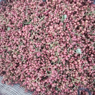 湿花椒