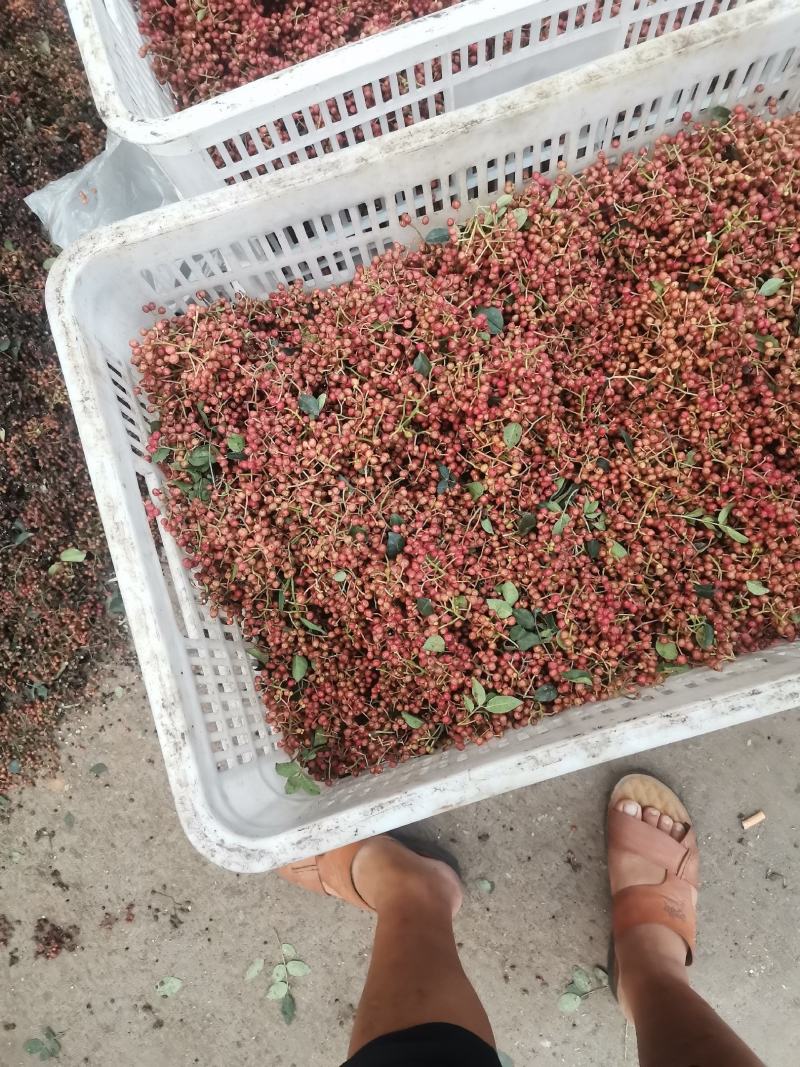 湿花椒