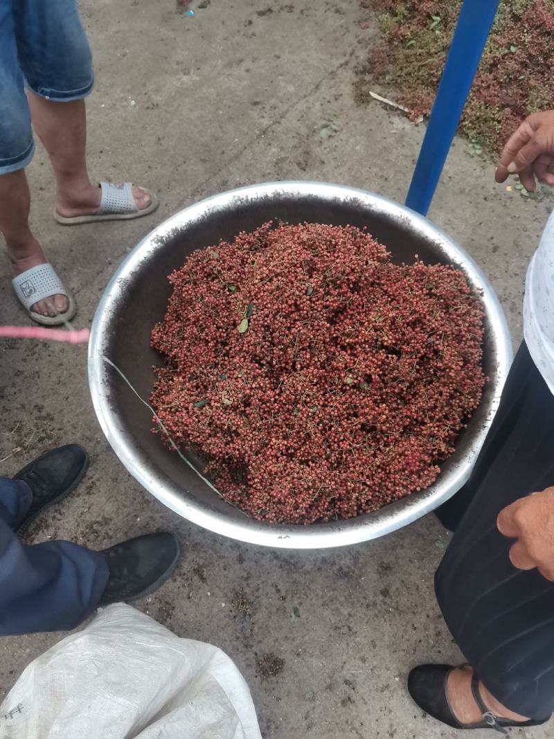 湿花椒