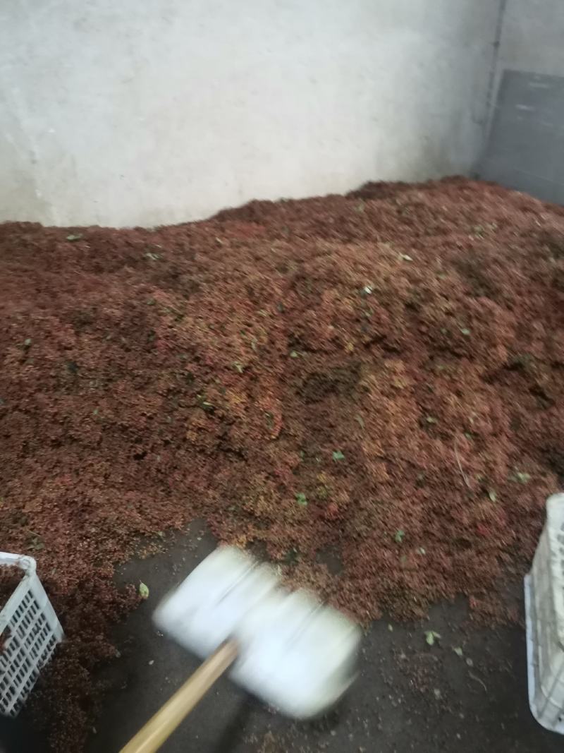 湿花椒