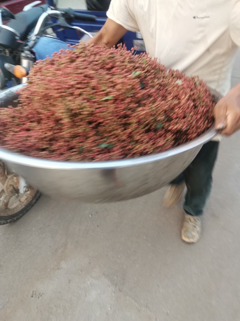 湿花椒