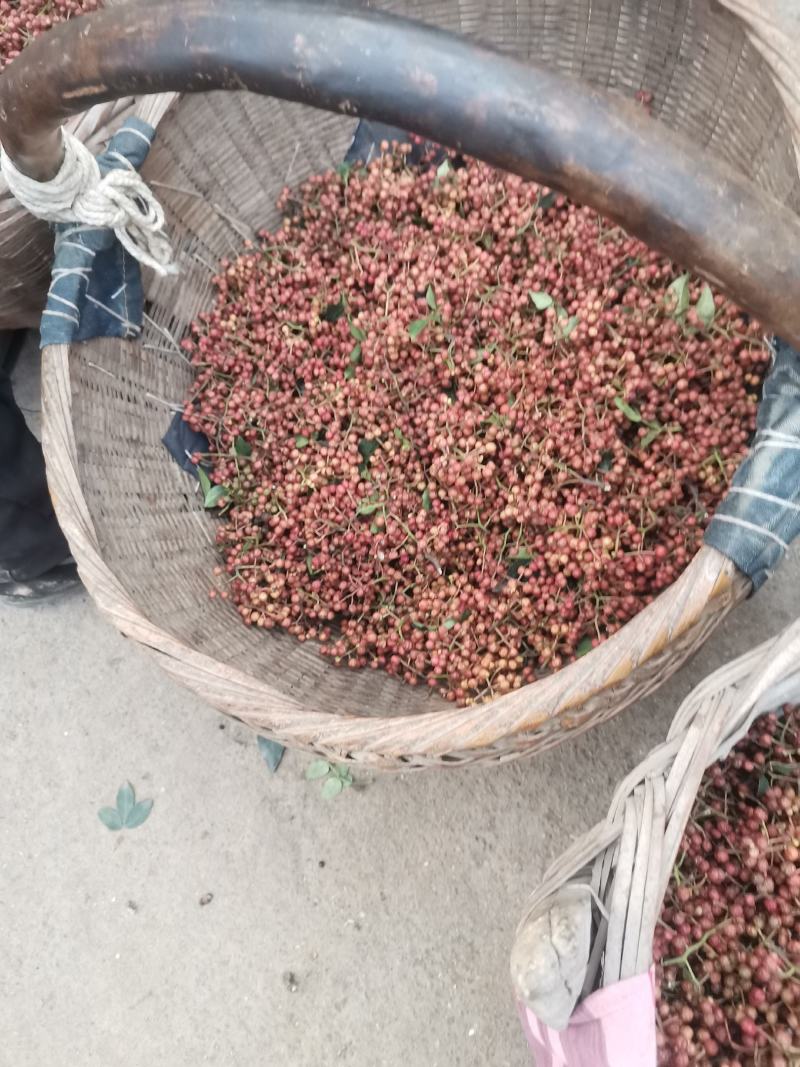 湿花椒