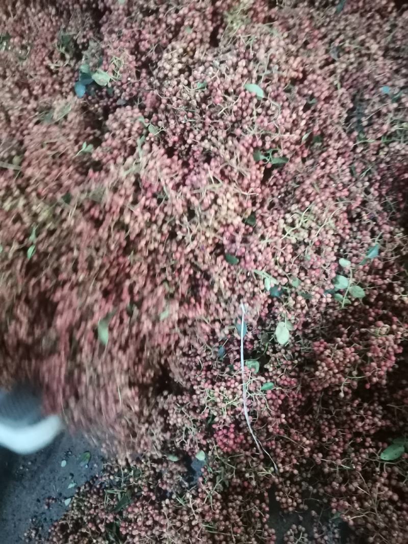 湿花椒