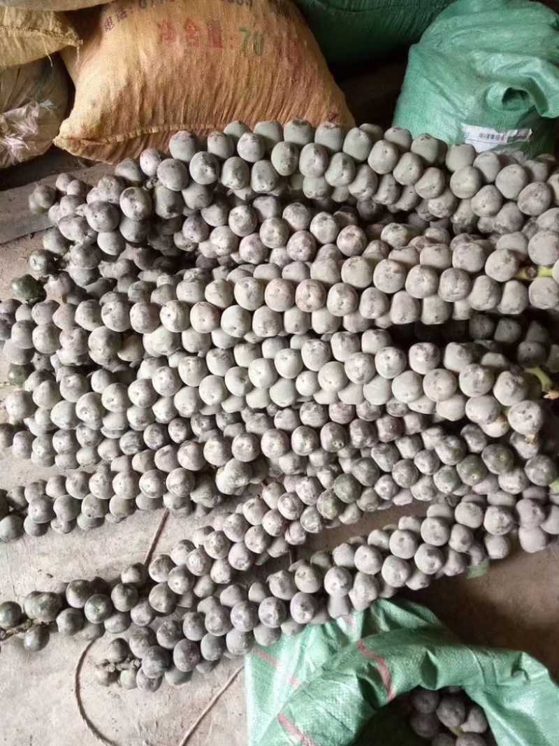 越南追风果，现砍现发，追风果，果子密度好，大小适中，新鲜