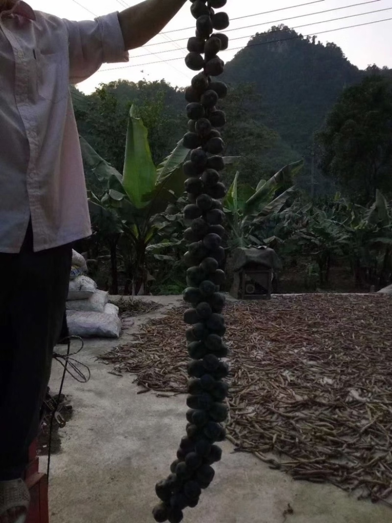 越南追风果，现砍现发，追风果，果子密度好，大小适中，新鲜