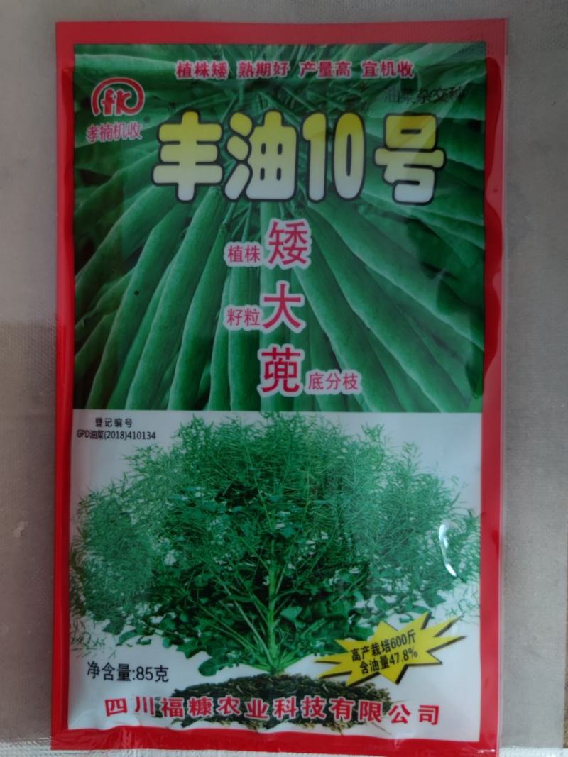 丰油10号油菜籽种子，高产600斤，含油量48%宜机收