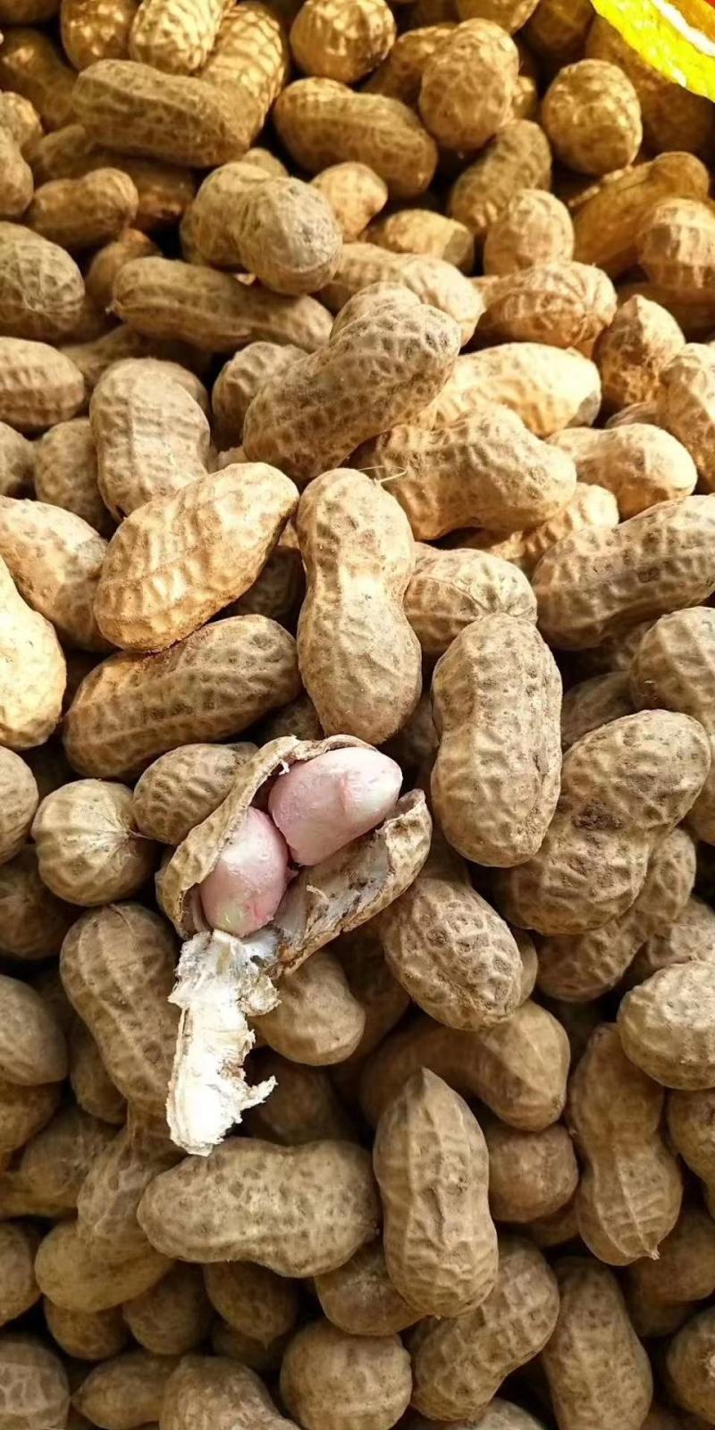 鲁花系列，鲜花生过筛手选果代收菠菜，香菜，西瓜等代发全国