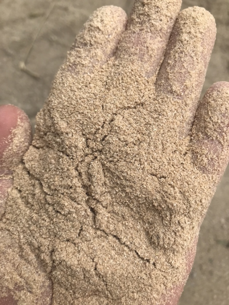 50-60目细麸皮可以代替次粉的好产品另出大片麸皮