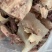 全熟存干牛杂