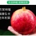 大凉山会理软籽石榴，果园基地直发，质量保证