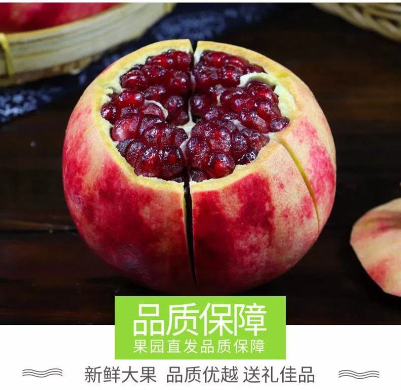 大凉山会理软籽石榴，果园基地直发，质量保证