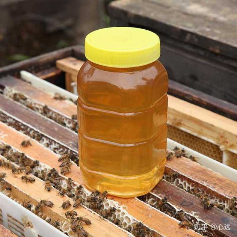 农家自产质量保证纯正天然蜂蜜2斤罐装原蜜