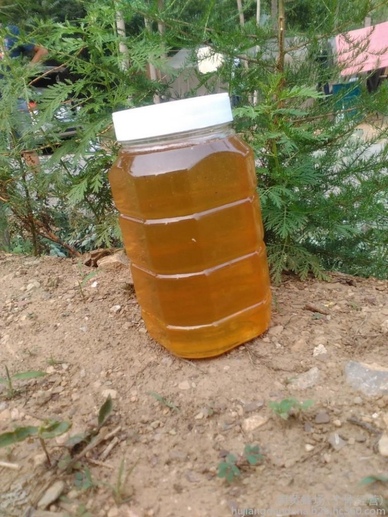 农家自产质量保证纯正天然蜂蜜2斤罐装原蜜