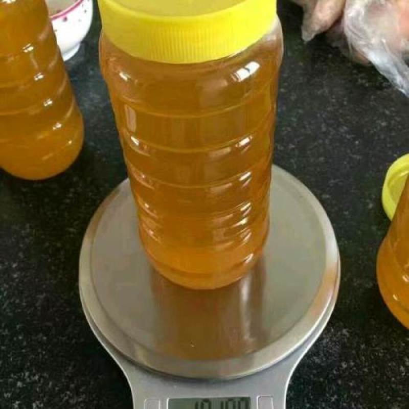 农家自产质量保证纯正天然蜂蜜2斤罐装原蜜